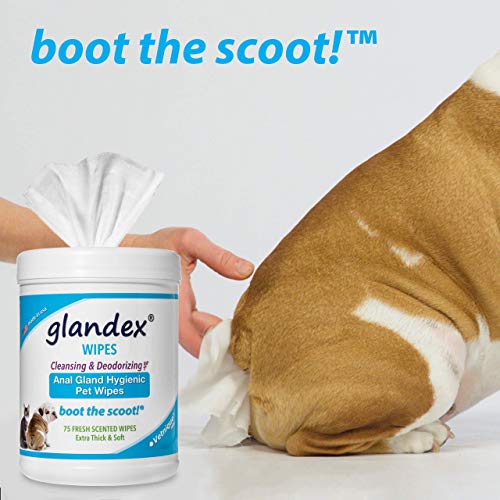 GlandexÂ Toallitas para Mascotas Limpiar y desodorizar la glándula Anal - 24 toallitas Fresh Scent