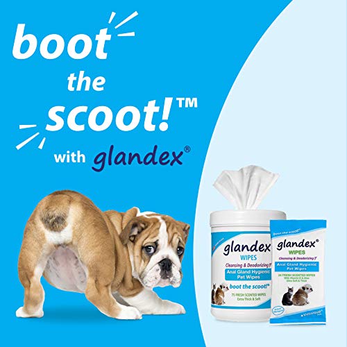 GlandexÂ Toallitas para Mascotas Limpiar y desodorizar la glándula Anal - 24 toallitas Fresh Scent