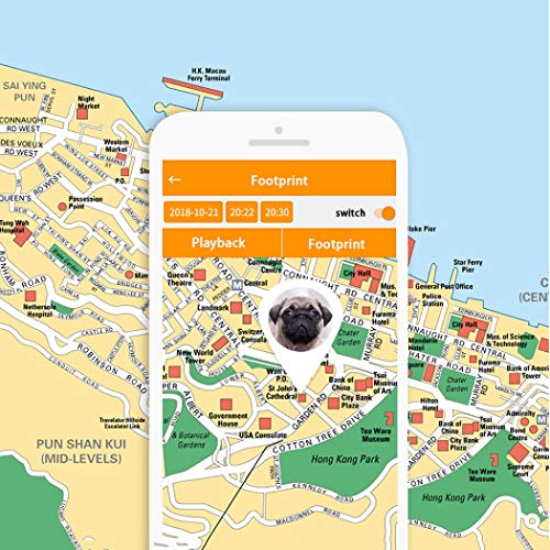 GPS Rastreador de Mascotas Perro Collar GPS Dispositivos Smart Anti-Perdida Localización Tractive Tracker en Tiempo Real Impermeable Adecuado para Perros y Gatos,Black