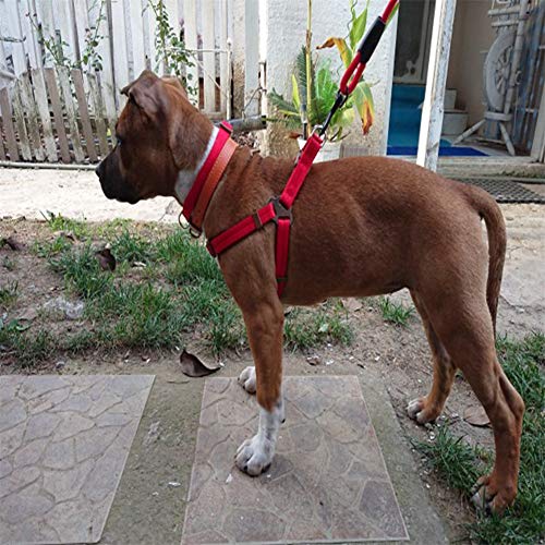 HuaXX Arnes Antitirones Perro Correas para Perros No Pull Harness For Dogs Slip Lead For Dogs Dog Training Lead Dog Collars and Leads For Medium Dogs Red,m