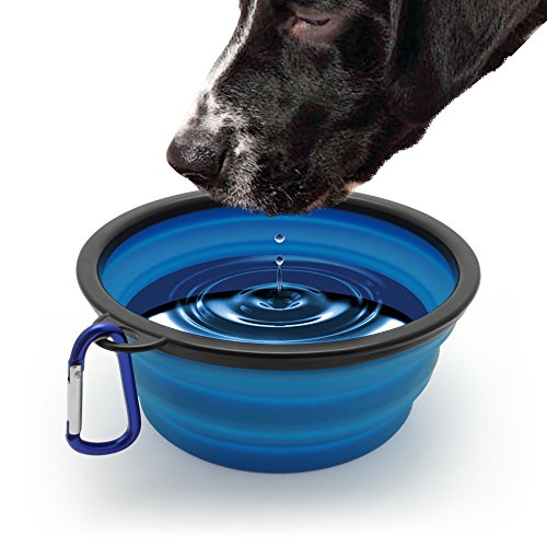 igadgitz Home U6726 Plegable Silicona Comedero Compatible con Perro Portatíl Alimentos Agua Viajes Plato Compatible con Mascota - Azul
