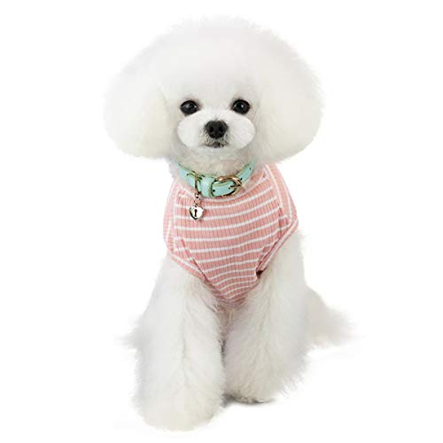 Jersey para Perro o Gato Pequeño/Ropa Cómoda de Punto para Mascotas Suéter de Abrigo para Mascotas Rosa Rojo Azul Gris Hierba - Peso 1,2-9,0 kg