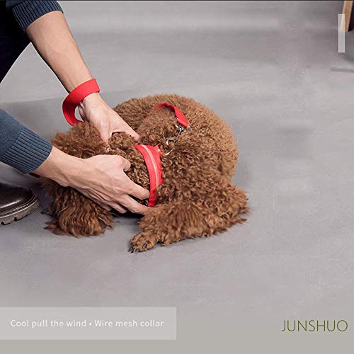 JUNSHUO Collar para perro(LED recargable),de Nylon, Perros Grandes, medianos y Pequeños | obtenible en Distintos Colores y Tamaños，Collar para Gatos ajustable（ 34-52cm）Parpadeo luminoso (L, AMARILLO)