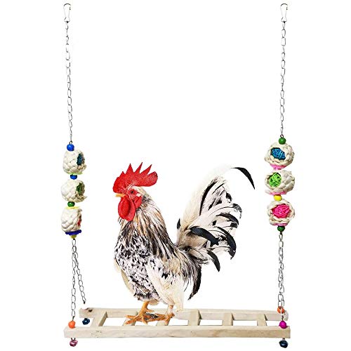 JWShang Columpio de pollo, de madera natural, juguete para gallinas, hecho a mano, perca de pájaro, columpio para pájaros grandes, loros, gallinas, guacamayos, entrenamiento, accesorios de gallinero