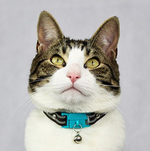 Kittyrama Collar para Gato, Estilo Havana. Ganador del Premio 'Cat Friendly'. Otros Estilos Disponibles. Visto en la Revista Vogue