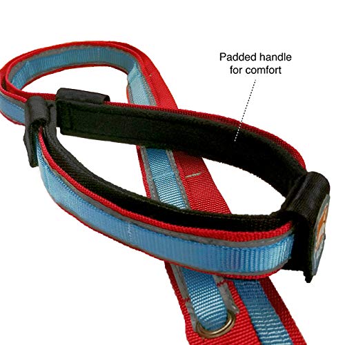 Kurgo Manos Libres para Perro Cintura Ajustable para Correr-Correa Reflectante para Pasear-Estilo Quantum-Disponible en Azul Rojo Naranja, Medium