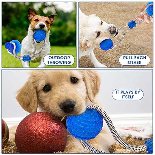LIUMY Pelota de Juguete al Aire Libre para Perros,Juguete Multifuncional para mordedura de Molar para Mascotas Juguete de Bola de Perro de Estilo de Ventosa Resistente a la masticación