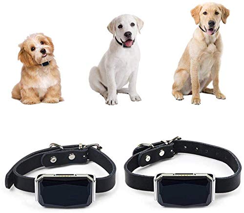 LLDKA Collar localizador GPS Anti-Perdida del Animal doméstico para el Collar de Perro Perros para Mascotas Perro Rastreador GPS de Seguimiento en Tiempo Real de posición Plotter