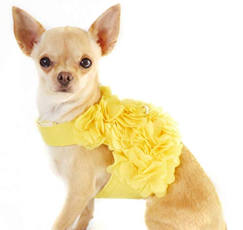 Lushpetz - Arnés para perro con pétalos de flor y correa a juego, para razas muy pequeñas, pequeñas o medianas