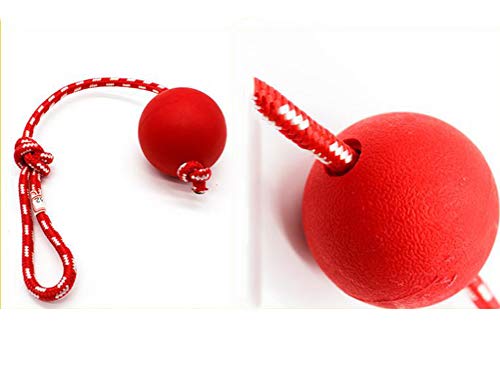 LXYDD Mascota Bola del Juguete de la mordedura-Resistente elástico sólido balón con la Mano la Correa del Animal doméstico,1