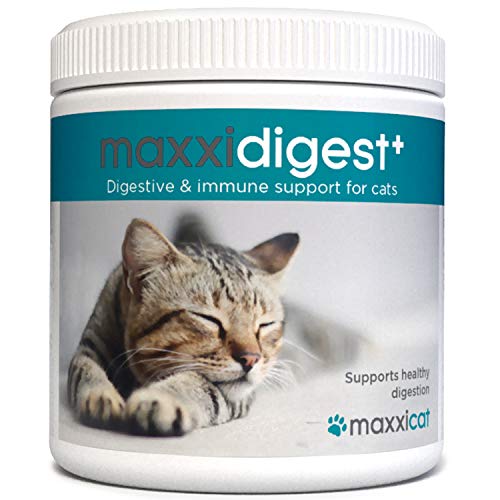maxxicat – maxxidigest+ Probióticos, prebióticos y enzimas digestivas para Gatos - Ayuda Avanzada a la digestión Felina & al Sistema inmunológico - Sin Polvo OGM - Polvos 90 g