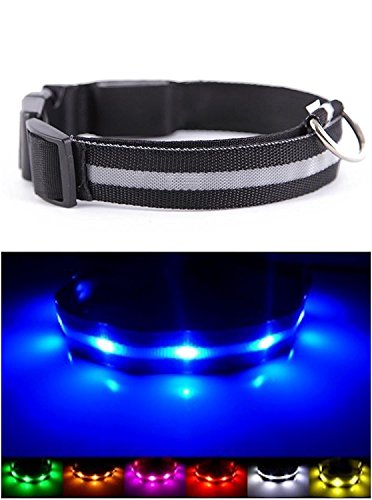 Mejor Perro Visibilidad y Seguridad – USB Batería LED Perro Seguridad Collar – LED de Pilas – se Conecta a Dispositivos – no – Gran diversión – tu Perro es más Visible y Seguro (Negro Mediano)