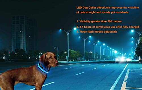MTAIOZ Collar LED Perro, Collar Perro, Collar LED para Animales Súper Brillante, Mejora Efectivamente la Seguridad y la Visibilidad, Carga USB, Longitud Ajustable del Collar.