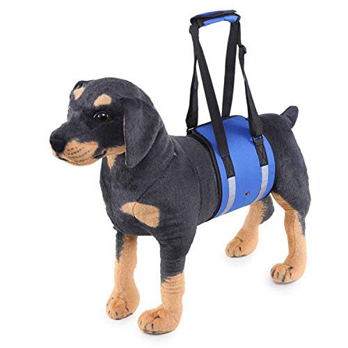 NINOMI Mano para Mascotas con Asistencia para Mascotas con cinturón de protección para Perros Mayores en el automóvil, cinturón Auxiliar para escaleras,Blue,S