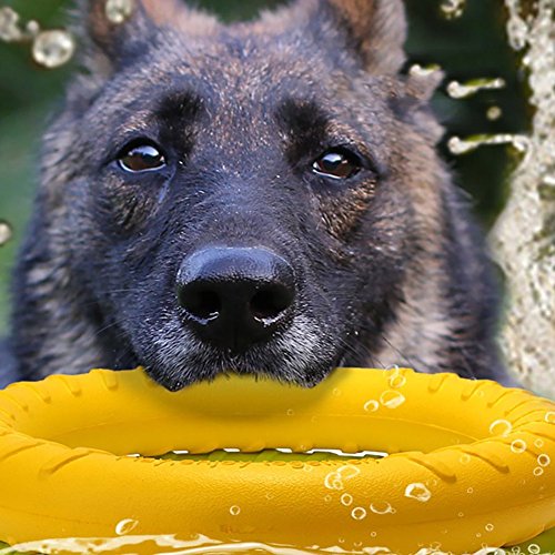 NOZOMI Juguete para Perros (Diámetro exterior: 29 cm), Como un Frisbee, Jugando en el Agua o en la Tierra, Masticar Juguete para Perros, Adecuado para Mediano y Grande Perros