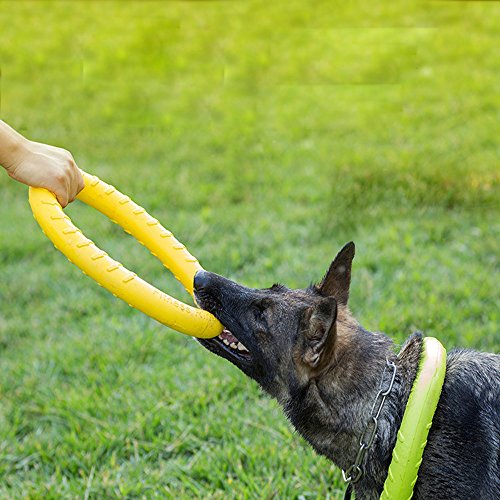 NOZOMI Juguete para Perros (Diámetro exterior: 29 cm), Como un Frisbee, Jugando en el Agua o en la Tierra, Masticar Juguete para Perros, Adecuado para Mediano y Grande Perros