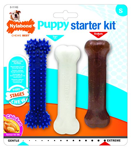 Nylabone Cachorro Starter Kit