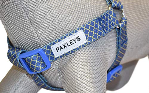 Paxleys Arnés para Perro Dorado y Azul Art Deco tamaños Mediano y Grande