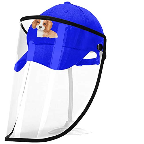 Perro Animal Perro Mascota Cara Completa Gorra de béisbol Protectora con Placa de protección extraíble