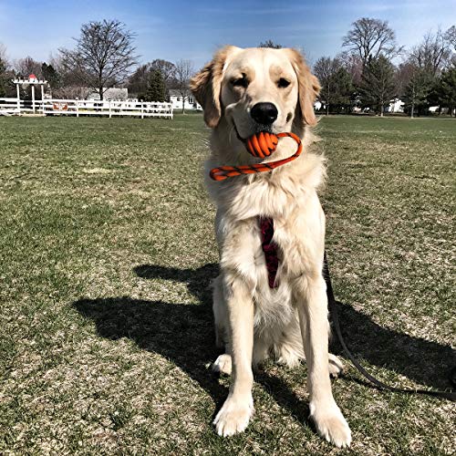 PETCUTE Juguete de Goma para Masticar Bolas para Perros Juguete con Cuerda Interactivo Cuerda con Bolas para Perro Cachorro 3 Piezas