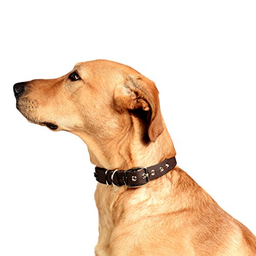 PetTec Collar de Perro Cómodo y Duradero, Fabricado con Trioflex lo Que lo Hace Fuerte; para Perros Grandes o Pequeños, Ajustable y con Relleno Impermeable (Marrón)