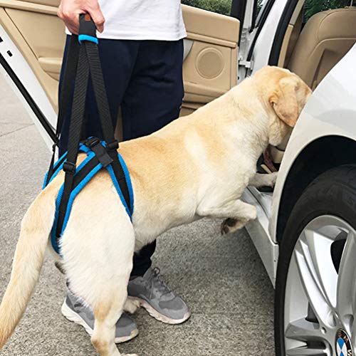 POPETPOP 1PC Durable Creativo Azul Práctico Escalera para mascotas Cinturón auxiliar Suministros para mascotas Accesorios para perros para perros con lesiones por deformidades antiguas