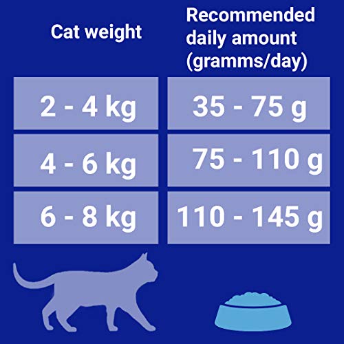 PURINA ONE - Alimento seco para Gatos (200 g, 6 Unidades)