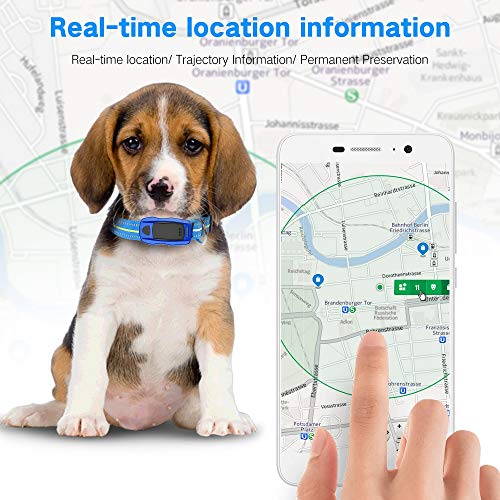 Rastreador GPS para Perros Y Gatos, Anti-Perdida GPS/WiFi/LBS Peso Ligero Impermeable en Tiempo Real Collar Tractive Rastreador para Mascotas,Blue