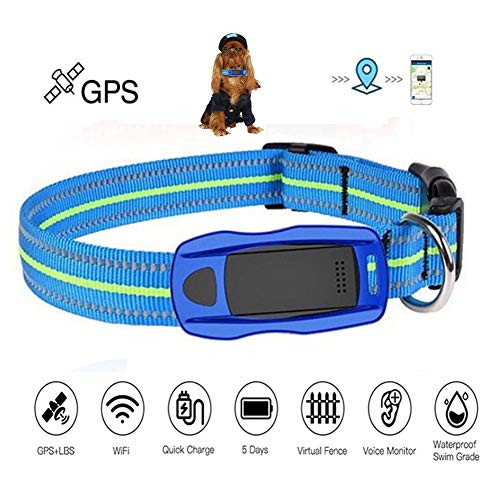 Rastreador GPS para Perros Y Gatos, Anti-Perdida GPS/WiFi/LBS Peso Ligero Impermeable en Tiempo Real Collar Tractive Rastreador para Mascotas,Blue