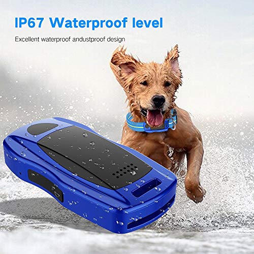 Rastreador Tractive de GPS para Mascotas, GPS/WiFi/LBS Ligero, Resistente al Agua en Tiempo Real, localizador en Tiempo Real y Monitor de Actividad para Perros y Gatos,Blue