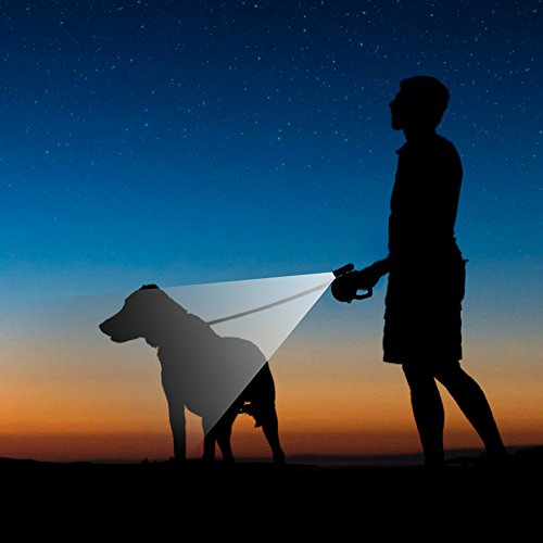 RCRuning-EU Flexi Correa para Perros Retráctil 8m, Correa Perro Extensible with Led Light,Dog Lead for Large Medium Small Pet Dogs Night Walking (Camouflage Blue)