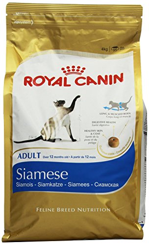 Royal Canin Comida para gatos Siamese 4 Kg