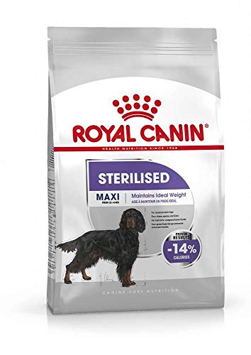 Royal Canine Adult Sterilised Maxi 9Kg 9000 g
