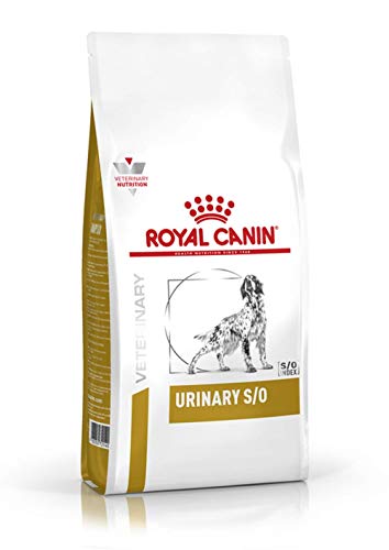 RoyalCanin Urinary S/O 13 kg | Pienso Renal para Perros Adultos de Razas Pequeñas, Medianas y Grandes con Trastornos Urinarios | Comida para Disolver Todos los Tipos de Cálculos de Fosfato Inorgánico