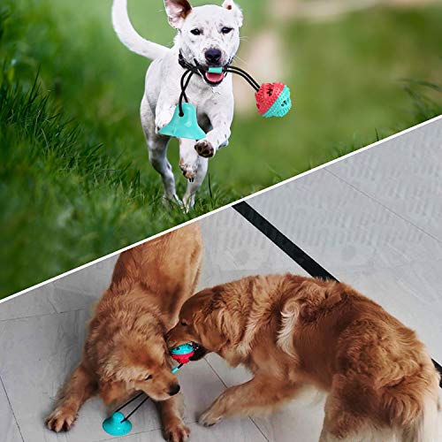 Sooair - Ventosa para Perros, Juguete para Perros con Ventosa para Limpiar los Dientes para Perros y Gatos, Juguete para Perros con Ventosa