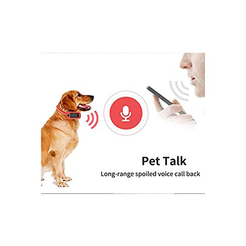 SPORS 2019 Nuevo localizador de Mascotas, Dispositivo Anti-pérdida de Collar de Perro Gato, GPS Que Sigue el Collar de Moda de posicionamiento Impermeable de posición múltiple-Blue