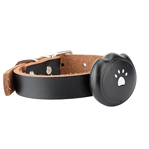 SPORS Collar para posicionamiento de Mascotas con GPS, Collar antipérdida, rastreador de Perros multifunción Seguimiento Inteligente LBS-Black