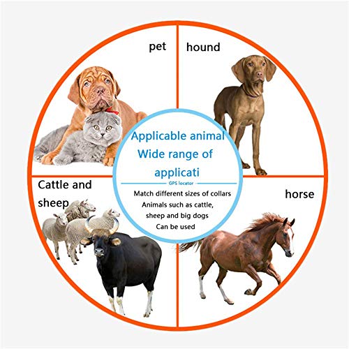 SPORS Rastreador Anti-pérdida GPS para Mascotas, Collar de posicionamiento Inteligente para Ganado Vacuno y ovino, localizador GPS para Mascotas