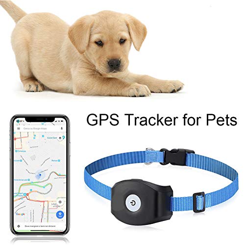 SPORS Rastreador Anti-pérdida GPS para Mascotas, Collar de posicionamiento Inteligente para Ganado Vacuno y ovino, localizador GPS para Mascotas