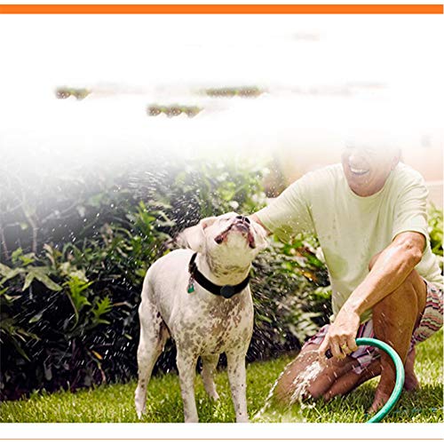 SPORS Rastreador Inteligente de posicionamiento en Tiempo Real para Mascotas, Collar Anti-pérdida para Perros con Seguimiento GPS, Collar de Seguimiento multifunción