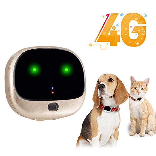 SPORS Rastreador Inteligente de Seguimiento de Perros de Voz multifunción, Collar de posicionamiento de Mascotas GPS, Collar antipérdida-C