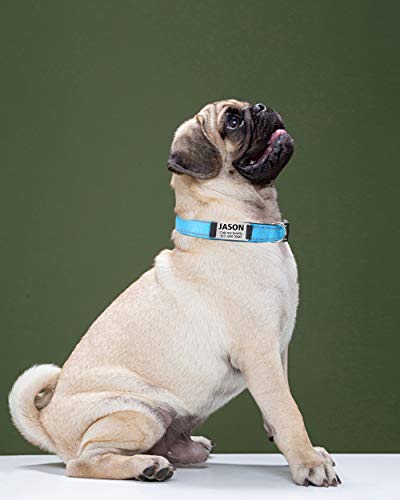 TagME Collar de Perro Reflectante Personalizado,Placa de Acero Inoxidable,Grabado con Nombre y Número de Teléfono,Deslizar en Las Etiquetas de Identificación del Perro,Azul Claro