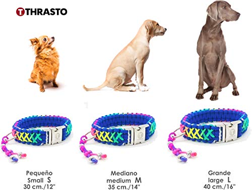 Thrasto Pets Dog Collar Rainbow One - Collar Perro Hecho a Mano de Cuerda Trenzada. Collar Paracord. Collar Perro Arco Iris. Tres Medidas, Resistente al Agua (Pequeño)