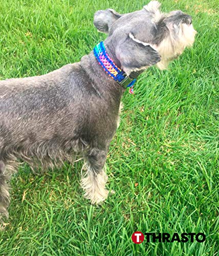 Thrasto Pets Dog Collar Rainbow One - Collar Perro Hecho a Mano de Cuerda Trenzada. Collar Paracord. Collar Perro Arco Iris. Tres Medidas, Resistente al Agua (Pequeño)