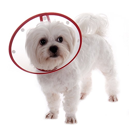 TJW Cono para Mascotas, E-Collar Protectora Cuello,Collarín para Perros,Collar Compatible con Mascotas,Color Azar (XL: Neck Circumference 34-40cm)