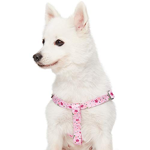 Umi. by Amazon - Made Well - Arnés para perros con estampado de flores M, contorno del pecho 51-66 cm, arneses ajustables para perros (rosa)