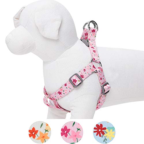 Umi. by Amazon - Made Well - Arnés para perros con estampado de flores M, contorno del pecho 51-66 cm, arneses ajustables para perros (rosa)