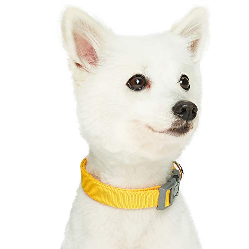 Umi. Essential Classic - Collar para perros S, cuello 30-40 cm, collares ajustables para perros (amarillo)