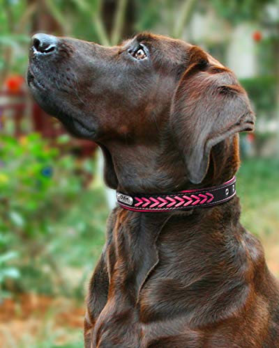 Vcalabashor Cuero personalizada collar de perro, placa de acero inoxidable grabado 23.5-30cm Fuchsia