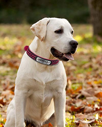 Vcalabashor Cuero personalizada collar de perro, placa de acero inoxidable grabado 23.5-30cm Fuchsia